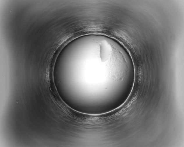 X0000096411162200801311346
