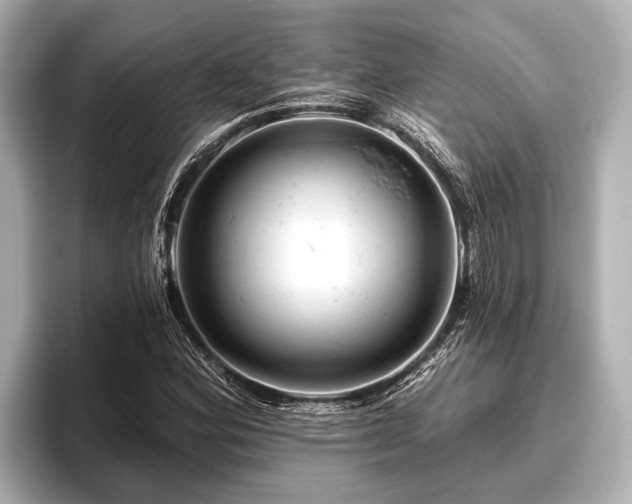 X0000096411164200801311346