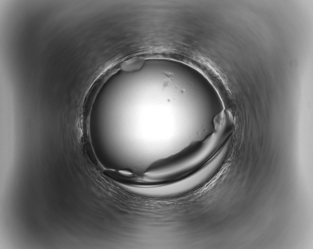 X0000096411165200801311346