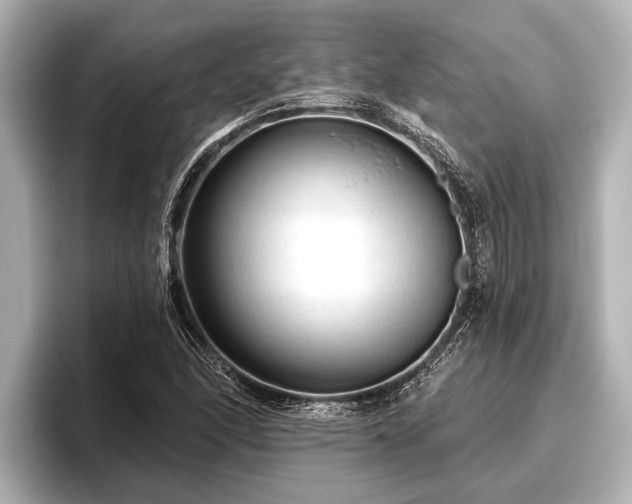 X0000096411166200801311346