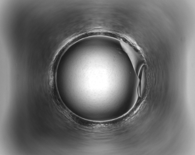 X0000096411167200801311346