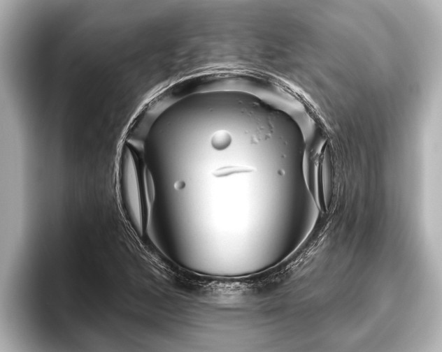 X0000096411168200801311346