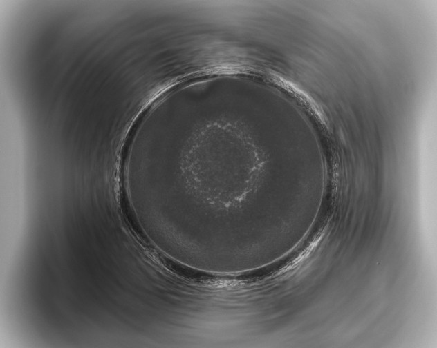 X0000096411170200801311346