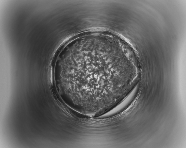 X0000096411171200801311346