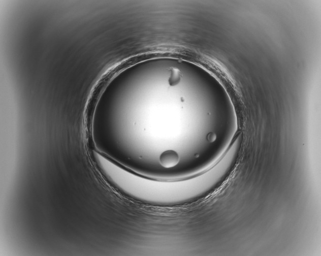X0000096411172200801311346