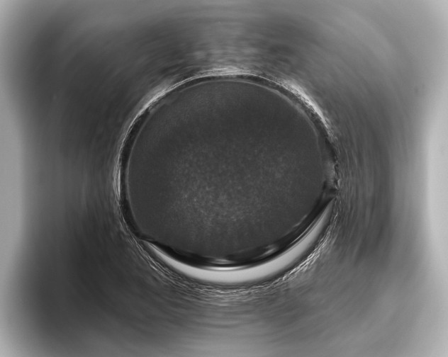 X0000096411173200801311346