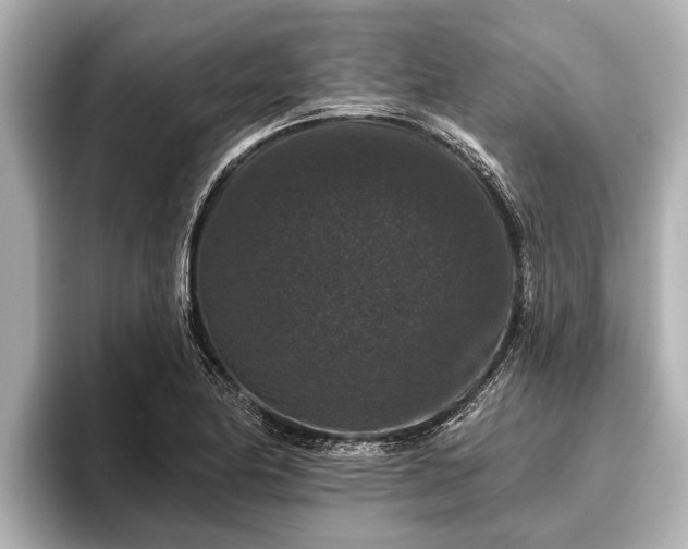 X0000096411174200801311346