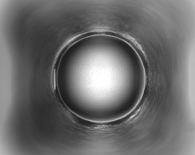 X0000096411175200801311346