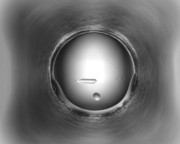 X0000096411176200801311346