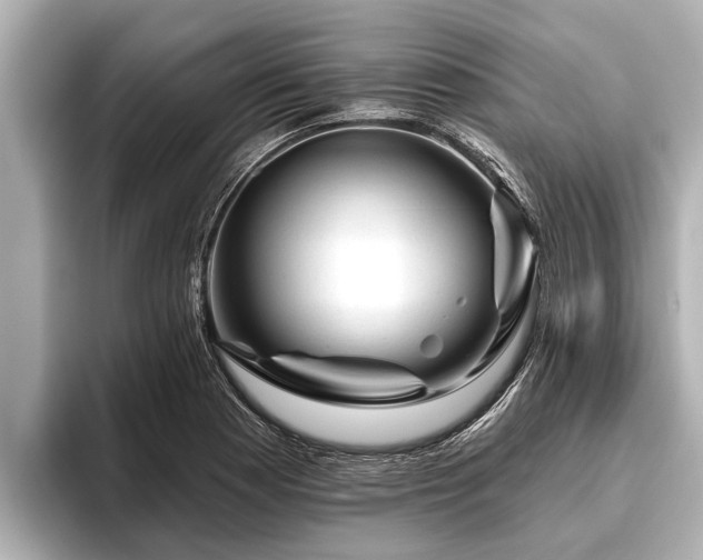 X0000096411177200801311346