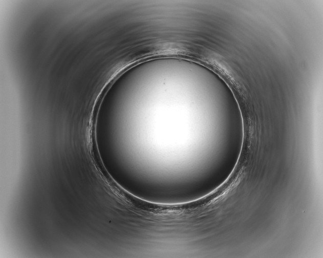 X0000096411178200801311346