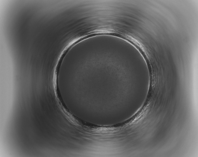 X0000096411179200801311346