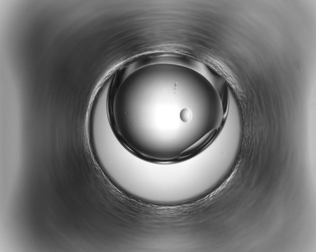 X0000096411180200801311346