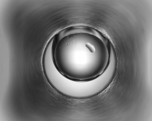 X0000096411181200801311346