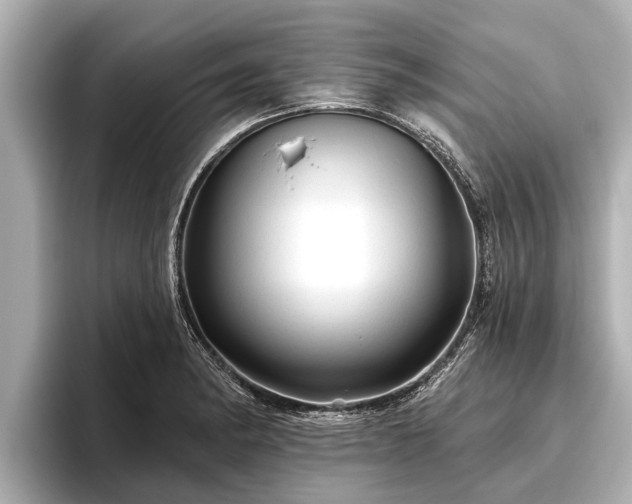 X0000096411182200801311346