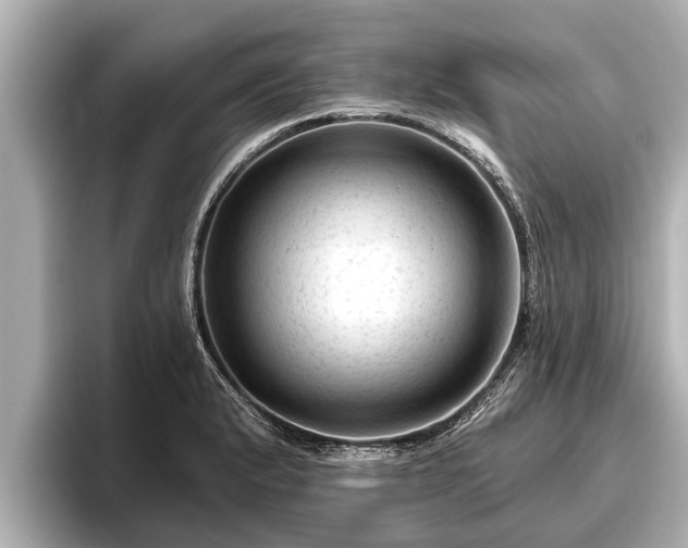 X0000096411183200801311346