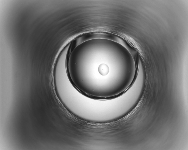 X0000096411184200801311346