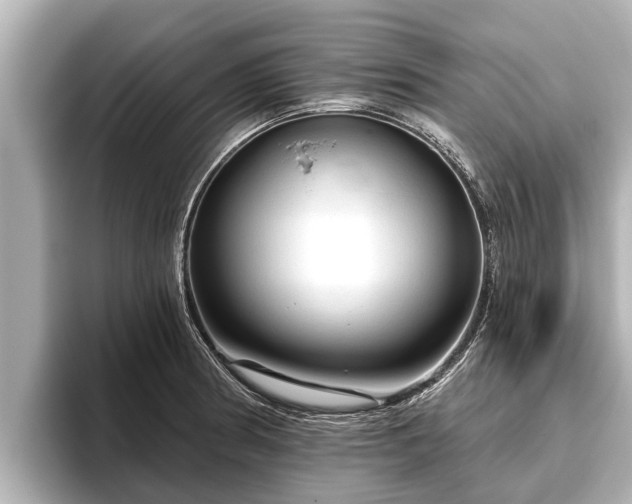 X0000096411186200801311346