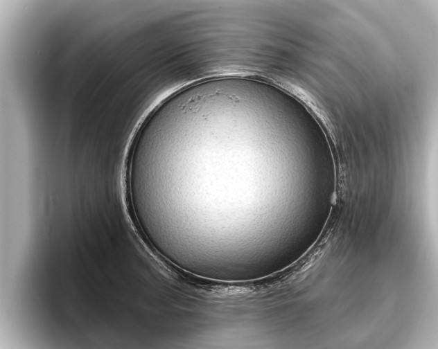 X0000096411187200801311346