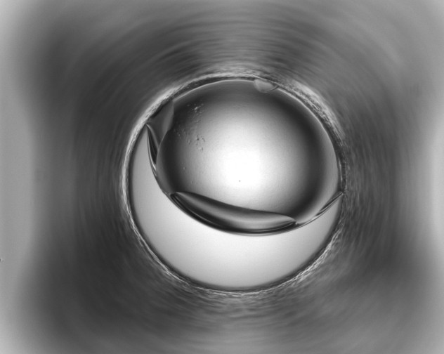 X0000096411188200801311346
