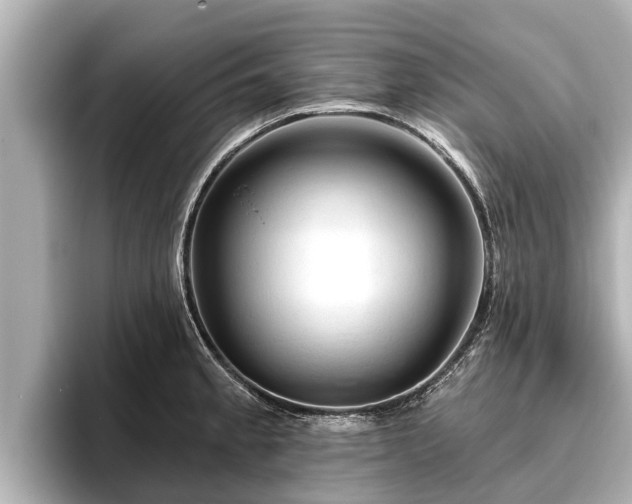 X0000096411189200801311346