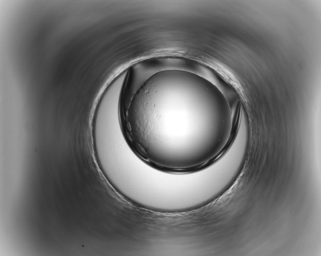 X0000096411192200801311346