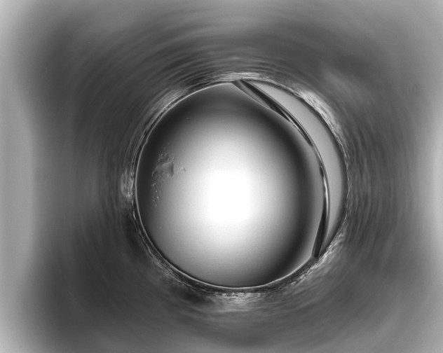 X0000096411193200801311346