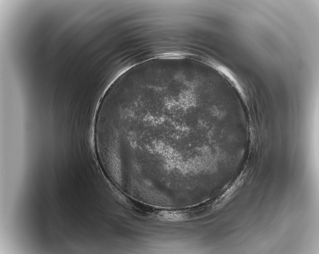 X0000096411194200801311346