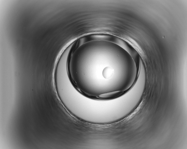 X0000096411196200801311346