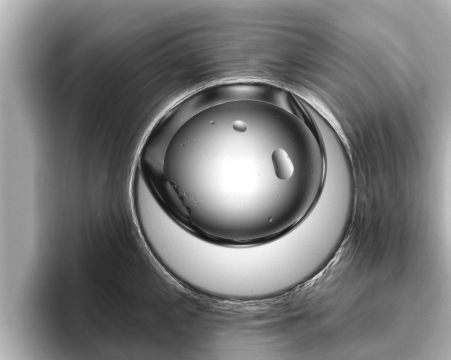 X0000096411197200801311346