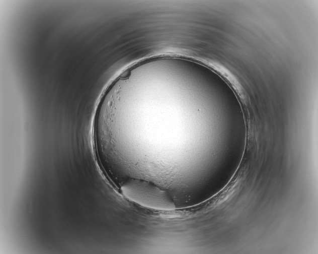 X0000096411199200801311346
