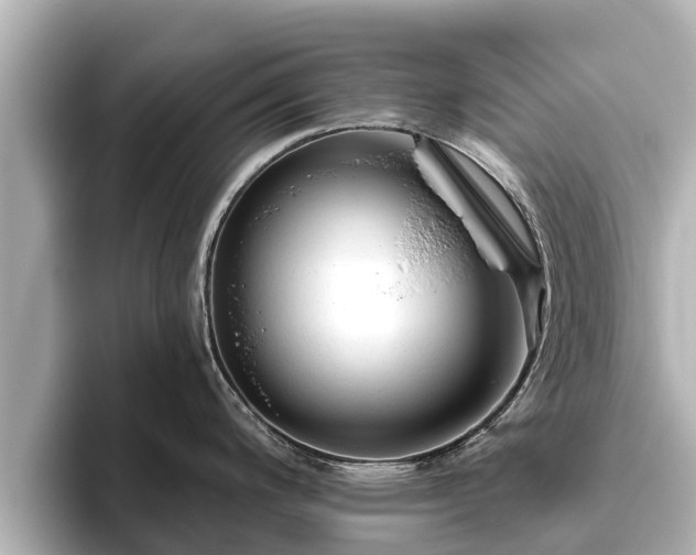 X0000096411200200801311346
