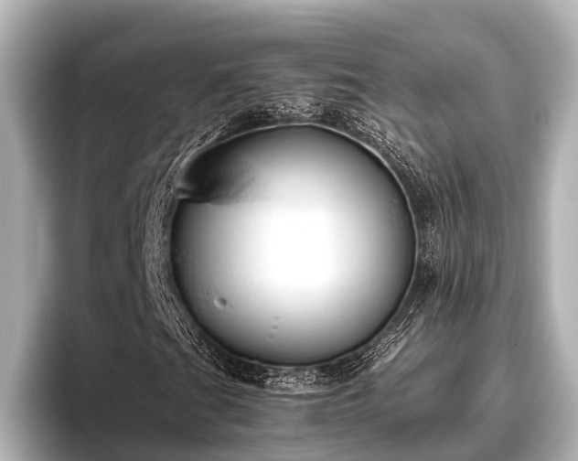 X0000096411201200801311345