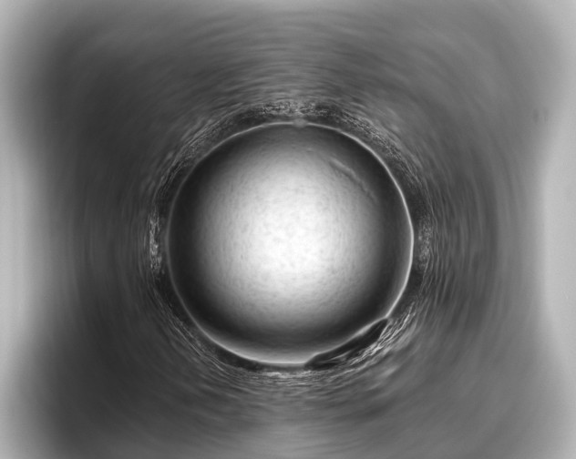 X0000096411202200801311345