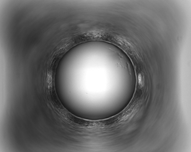 X0000096411203200801311345