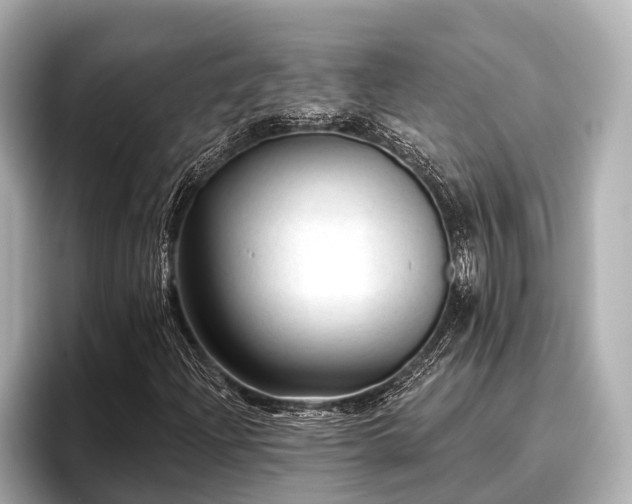 X0000096411204200801311345