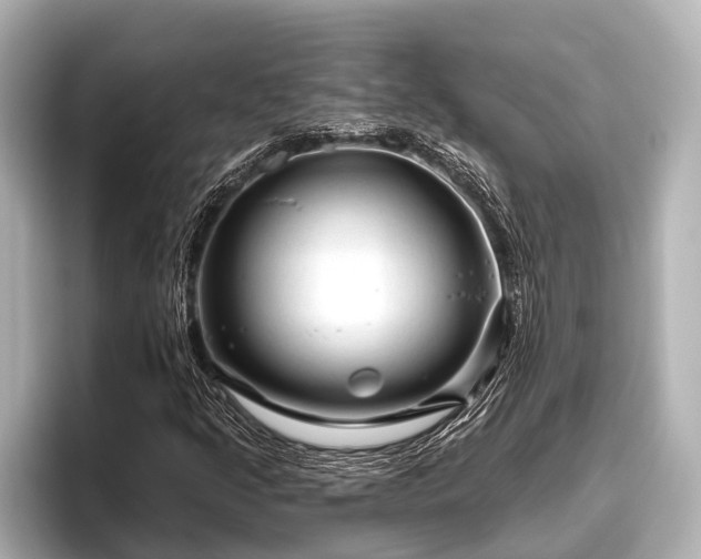 X0000096411205200801311345