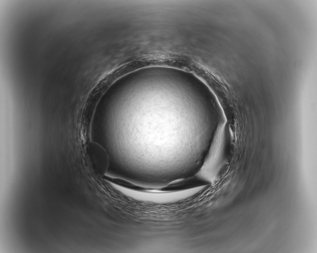 X0000096411206200801311345