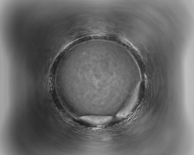 X0000096411208200801311345
