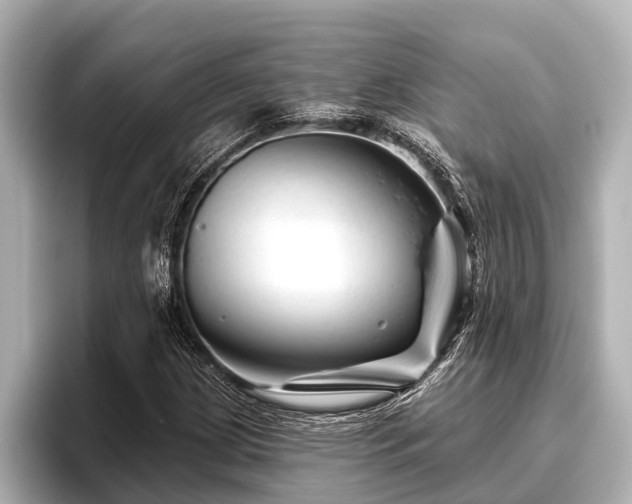 X0000096411209200801311345