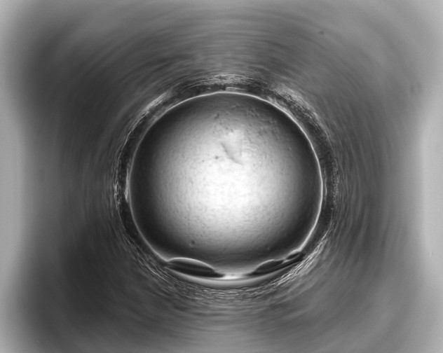 X0000096411210200801311345