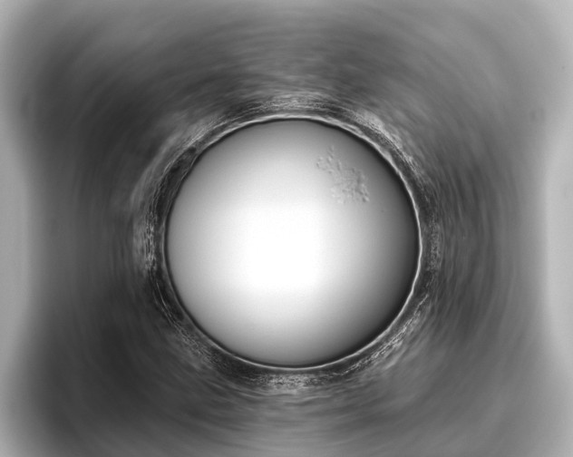 X0000096411211200801311345