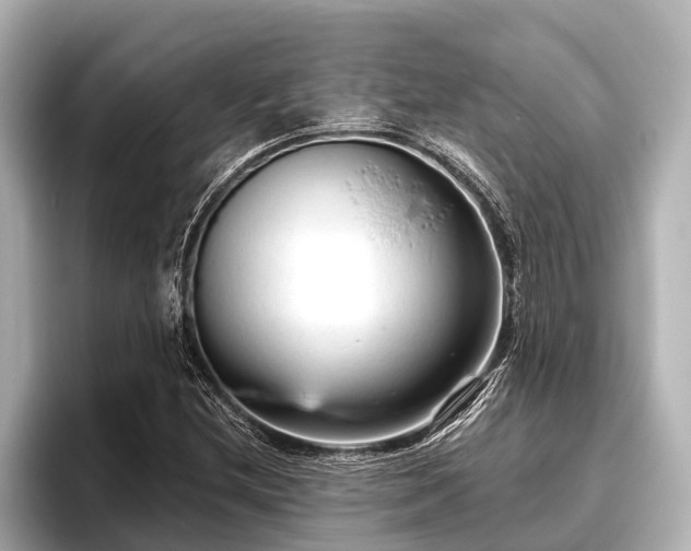 X0000096411212200801311345