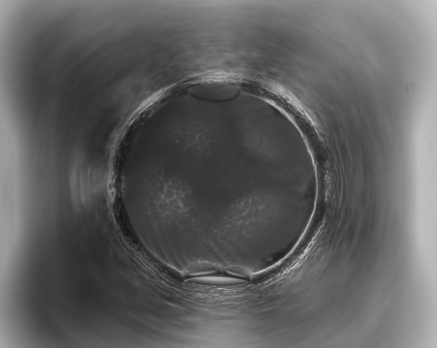 X0000096411213200801311345
