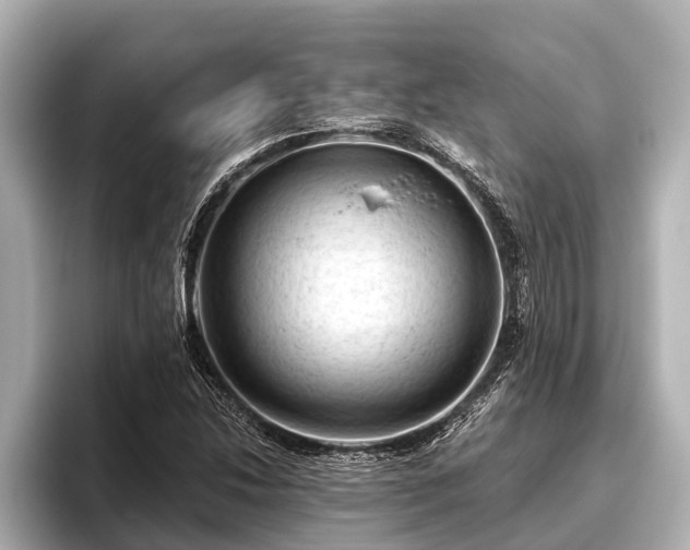 X0000096411214200801311345