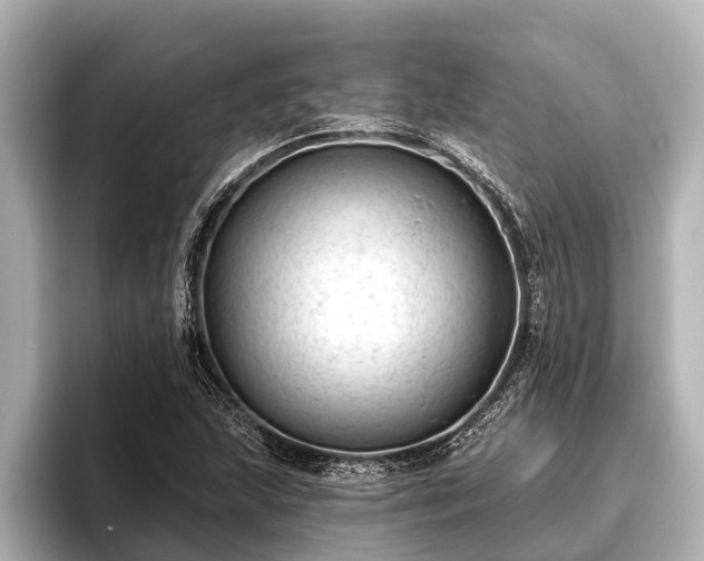 X0000096411215200801311345