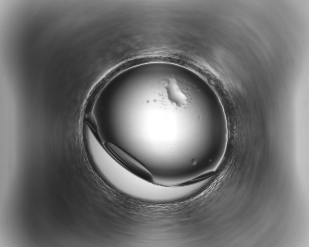 X0000096411216200801311345