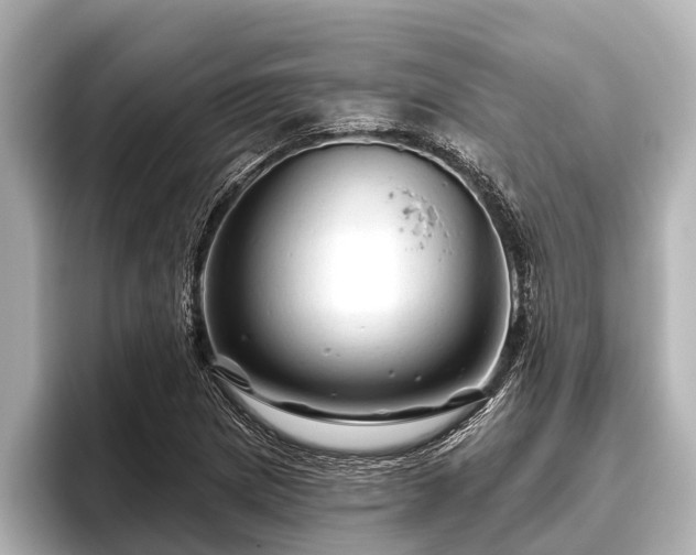 X0000096411217200801311345