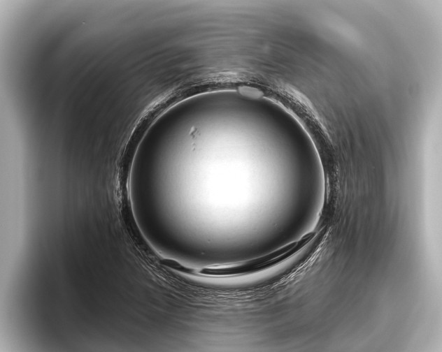 X0000096411218200801311345