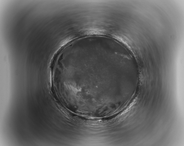 X0000096411219200801311346